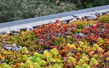 the cost of Benchill green roof installation